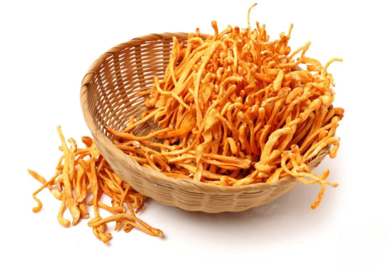 Tác dụng của đông trùng hạ thảo sấy thăng hoa